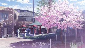 anese anime street cherry blossom