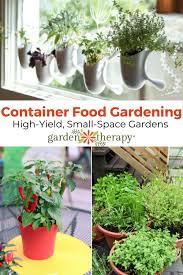 Container Garden Ideas For Growing Tons