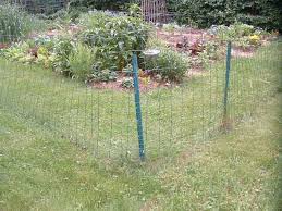 Using Garden Fencing Veggie Gardening