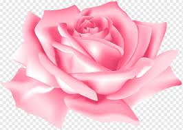 This image was acquired from pixabay. Pink Flower Png Images Pngwing