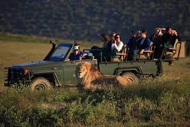 2 day safari experience from cape town 2023