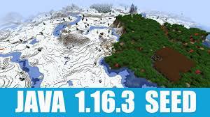 minecraft java 1 16 3 seed woodland