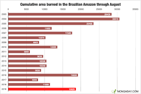 How Many Fires Are Burning In The Amazon