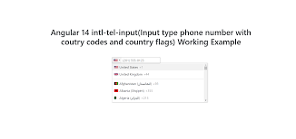 angular 14 input type phone number with