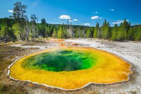 in yellowstone national park