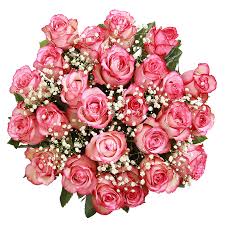 pink roses with gypsophila deliver