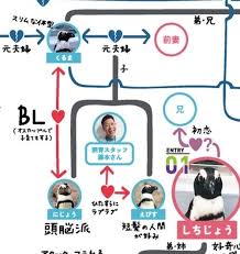 Kyoto Aquariums Penguin Relationship Chart Reveals Incest