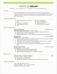 Resume Experience Example Examples Sample Resume