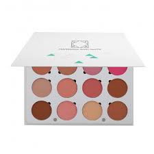 ofra professional blush palette 12