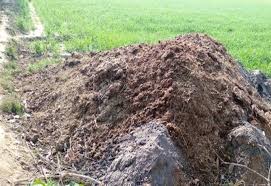 dung in sustainable agriculture
