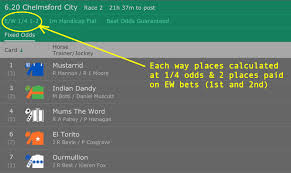 Each Way Odds Calculator Work Out Place Odds With Ease