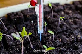 Best Soil Temperatures For Sowing Seeds Empress Of Dirt