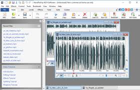 One piece of software stan. Wavepad Audio Editing 64 Bit Download For Windows 11 Pc Laptop
