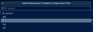 setting up a vs code dev container