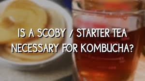 is a scoby starter tea necessary for