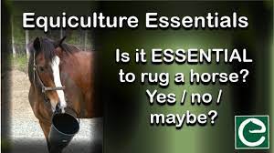 is it essential to rug a horse yes no