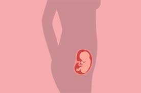 Obat aborsi aman yaitu cytotec misoprostol. Perkembangan Janin Usia 16 Minggu