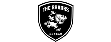 fear the fin sharks get a new logo