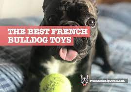 18 best french bulldog toys to keep