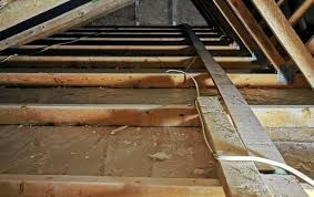 How To Prevent And Remove Mold From Attics