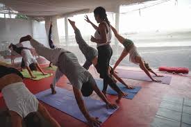 best yoga teacher in india image 1