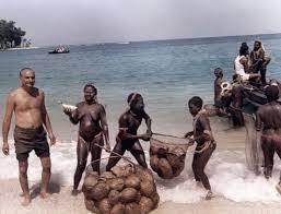 The World's Most Isolated Tribe Is Known To Engage In Beach Orgies As A  Response To Any Form Of Communication