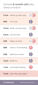 6 month old sleep schedule a guide