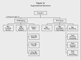 50 Studious Distributor Organizational Chart