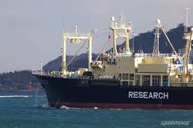 Sea shepherd vs japanese whaling research paper Japanese whaling boat in action   photo    Greenpeace