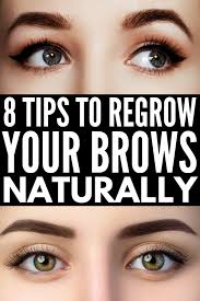 how to grow eyebrows fast 8 brow hacks