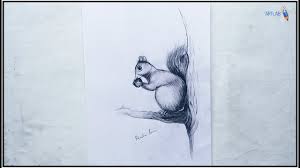 squirrels pencil sketch drawing