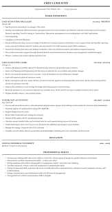 cost accounting resume sample mintresume