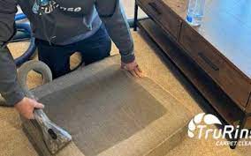 trurinse local carpet cleaning services