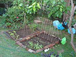 6 Easy Ways To Start A Vegetable Patch