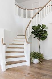 Curved Staircase Design Ideas