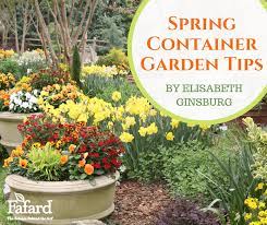 Spring Container Garden Tips Fafard