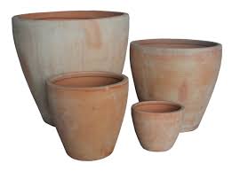 Brisbane Pot Company
