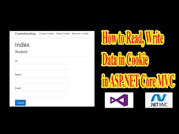 data in cookie in asp net core mvc