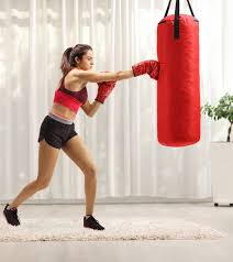 13 Best Heavy Punching Bags Of 2023 For