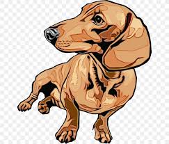 Animal clip art commercial png sausage dog, weiner doxie. Dog Cartoon Dachshund Clip Art Dog Breed Png 652x700px Watercolor Cartoon Dachshund Dog Dog Breed Download