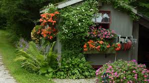A Cottage Garden