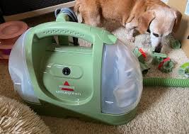 carpet cleaners for pet messes and stains