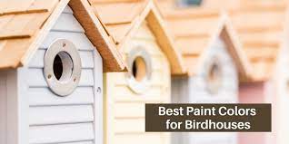 Colors Should You Paint Your Birdhouse
