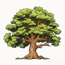 trees clipart large oak tree with