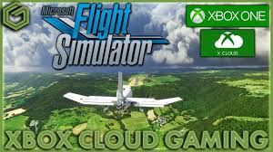 finally microsoft flight sim on last