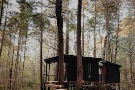 top 15 treehouse als in northern