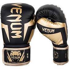 10 best boxing gloves brands in india