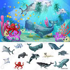 Concepto de fauna marina y oceánica de dibujos animados - vector de stock 3451653 | Crushpixel