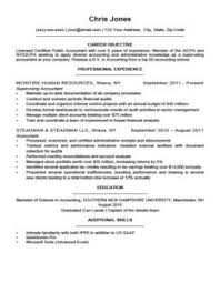 Basic Resume Template         Free Samples  Examples  Format    