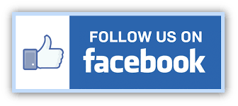 Follow Us on Facebook transparent PNG - StickPNG